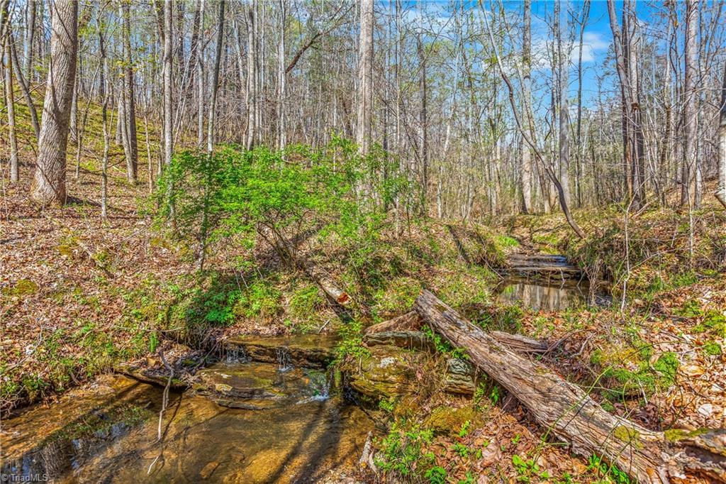 0 Farm Road Pilot Mountain, NC 27041 - Photo 10 of 19