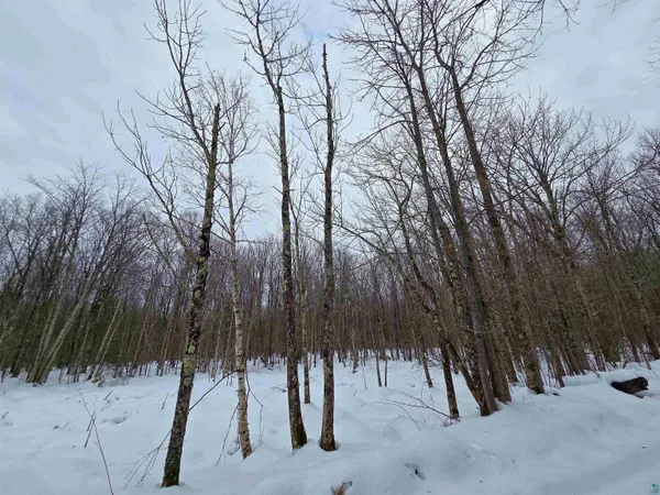 $58,900 | 12-xxx North Olson Road, Hayward, WI 54843