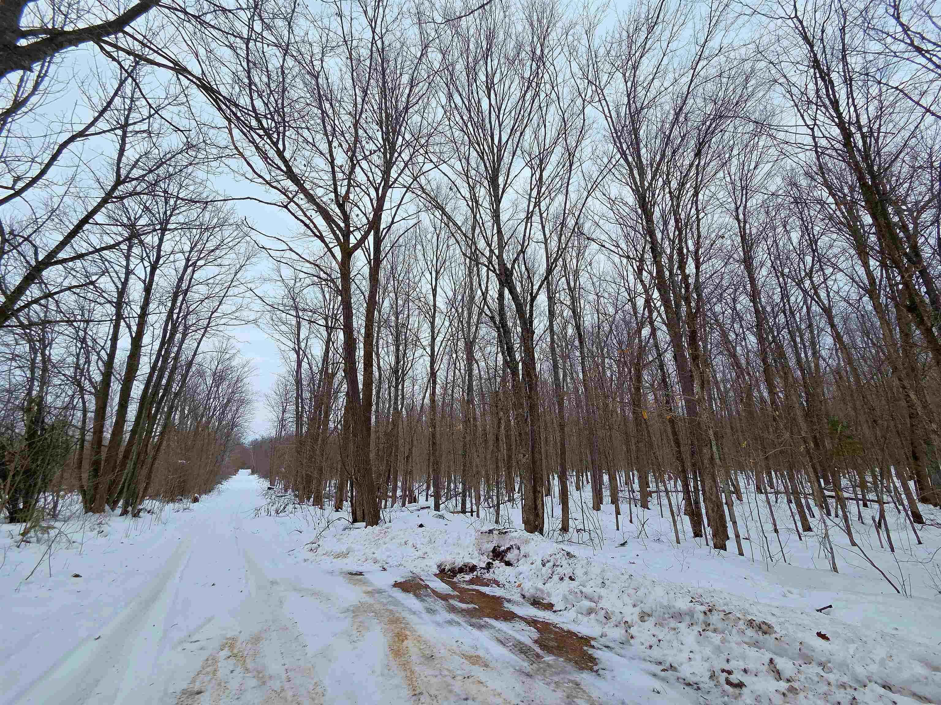 12-xxx North Olson Road Hayward, WI 54843 - Photo 8 of 8