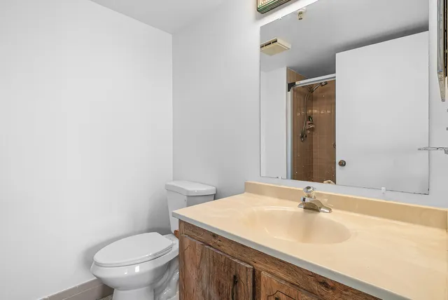 a bathroom with a sink and a toilet