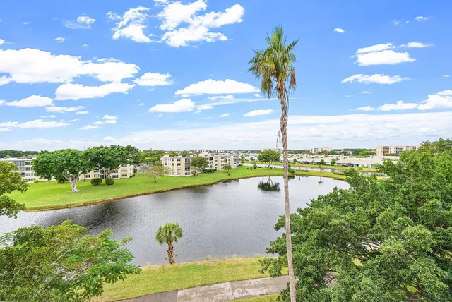a view of a swimming pool with a garden