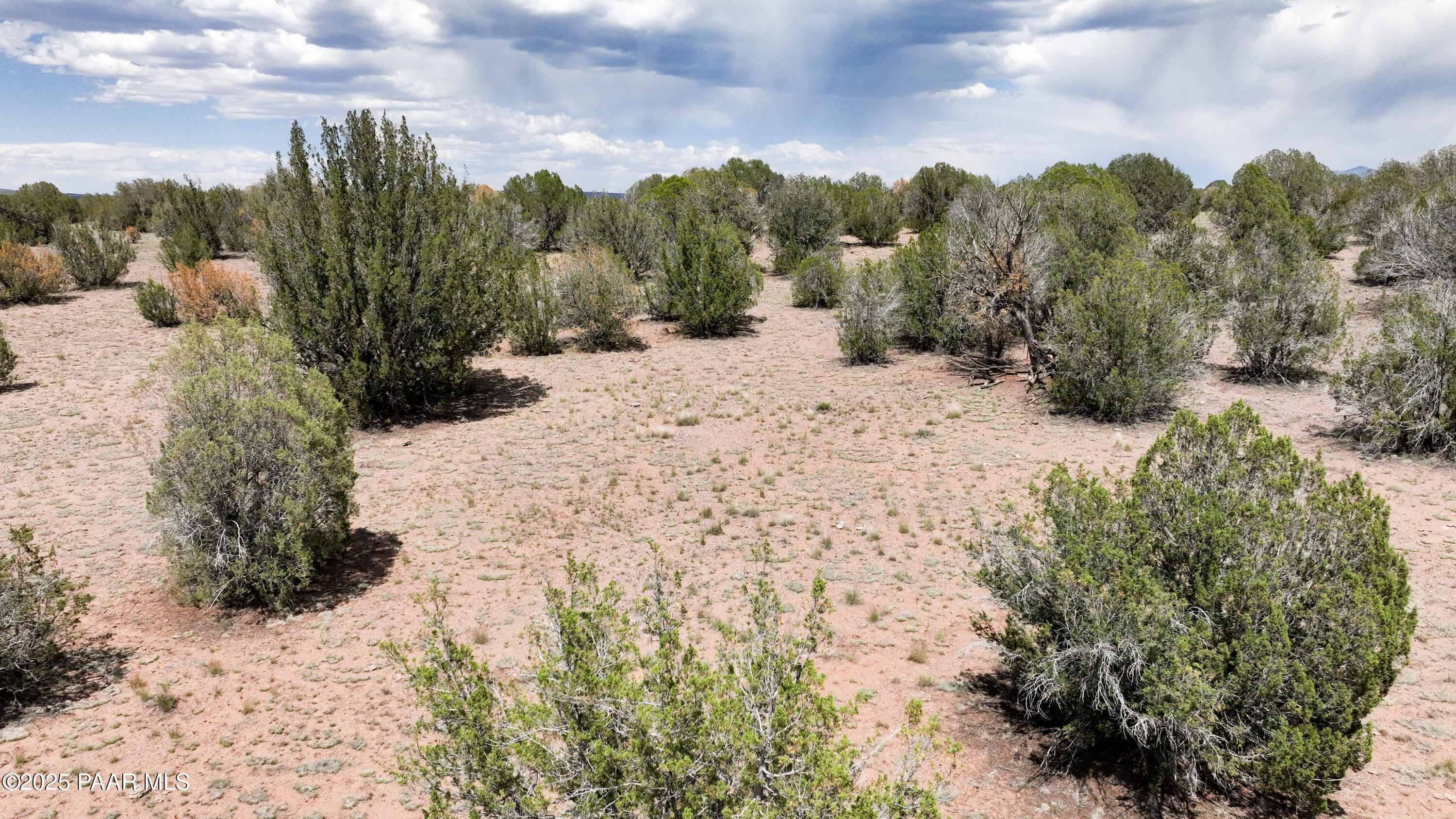 0 North Wagon Tree Road Ash Fork, AZ 86320 - Photo 6 of 13 6 Ground_SE Corner_edited