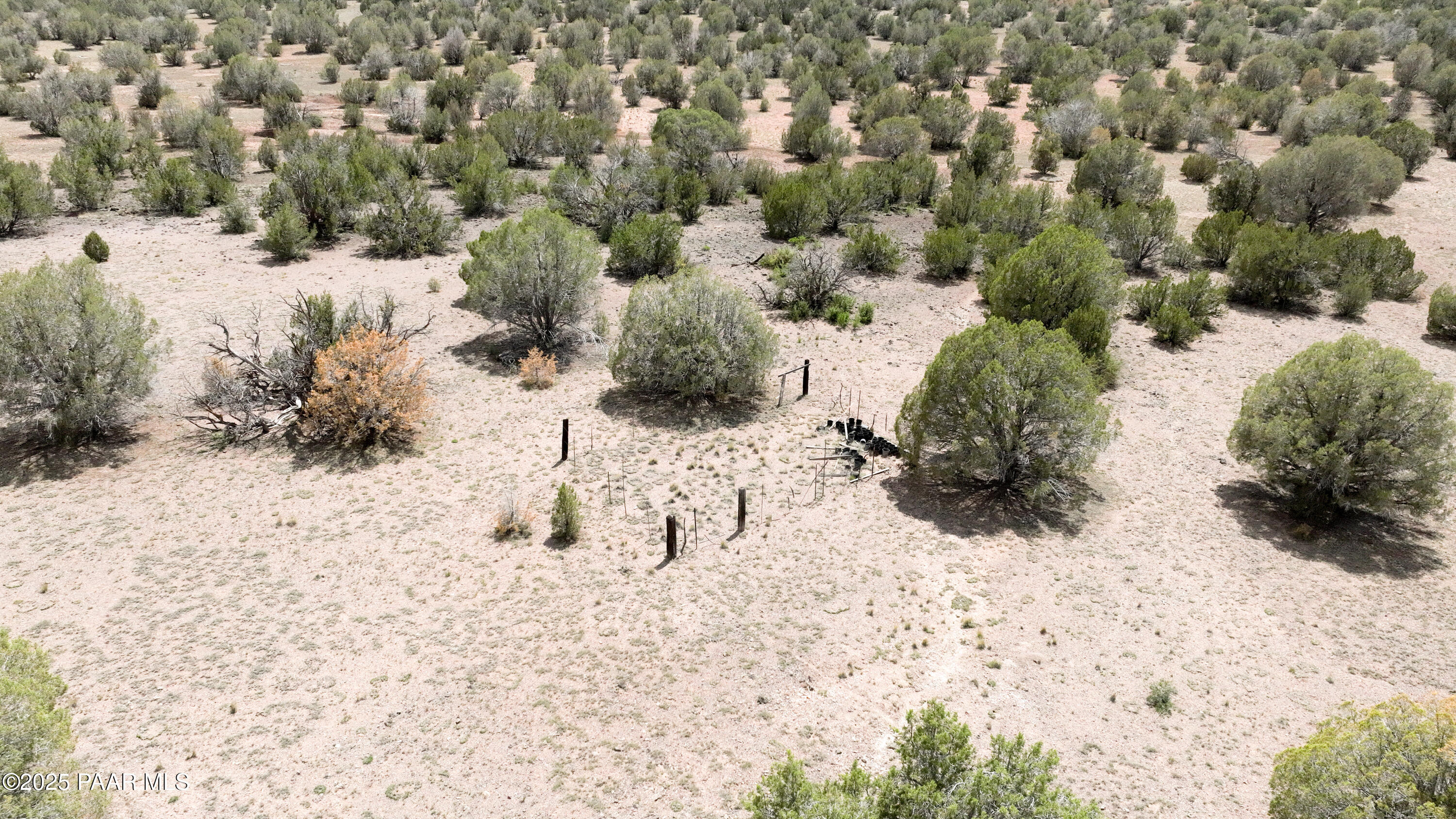 0 North Wagon Tree Road Ash Fork, AZ 86320 - Photo 9 of 13 9 Debris or what looks to be livestock c