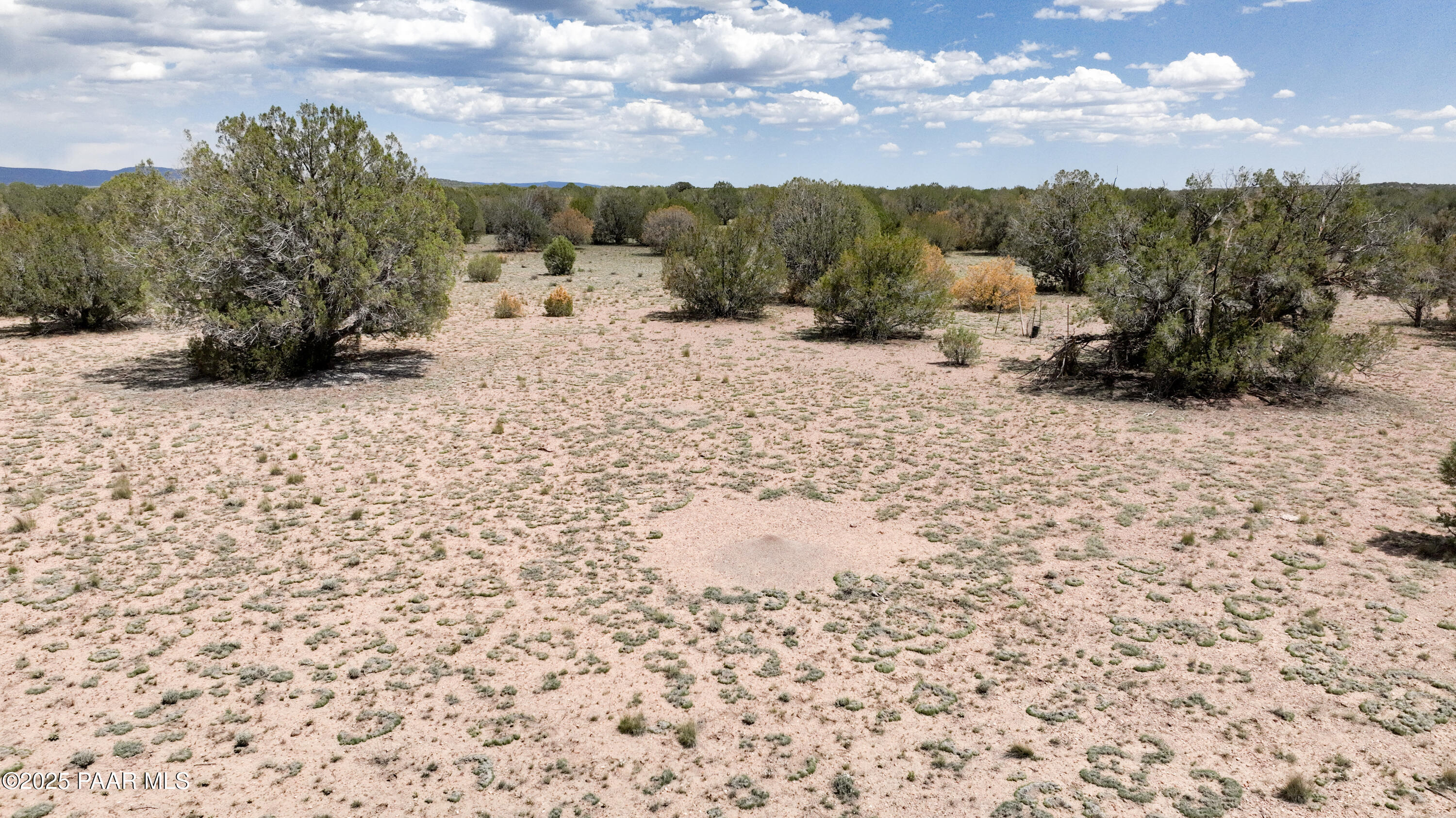 0 North Wagon Tree Road Ash Fork, AZ 86320 - Photo 10 of 13 10 Ground_SW Corner_edited