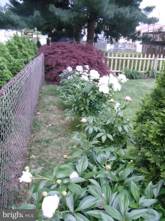 120 Petersburg Road Lancaster, PA 17601 - Photo 2 of 28 Gallery Image 2