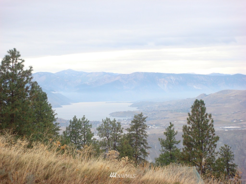 81 Mountain Spring Road Orondo, WA 98843 - Photo 1 of 6 Gallery Image 1