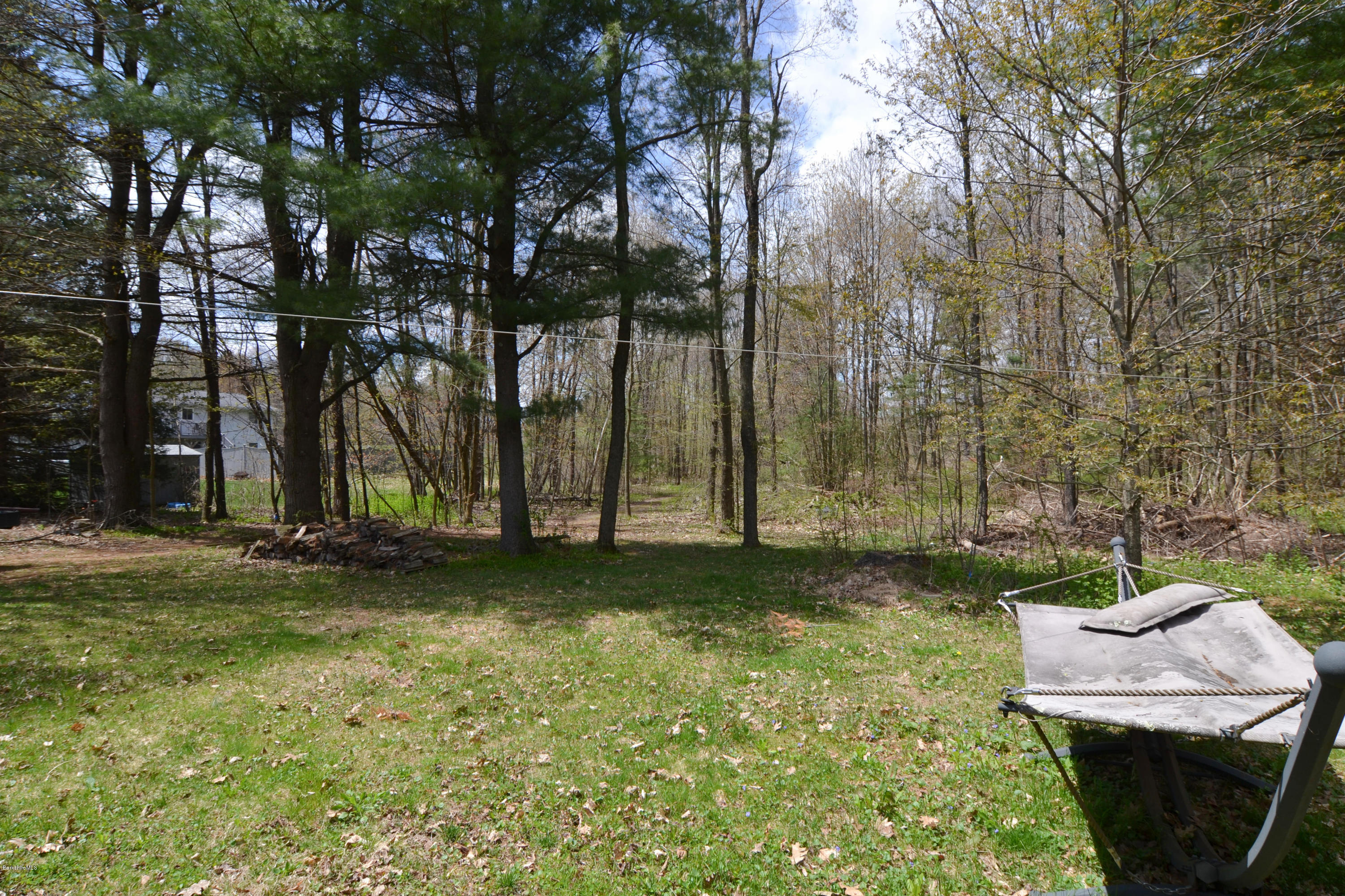 135 Ridge Avenue Pittsfield, MA 01201 - Photo 30 of 30 BACKYARD