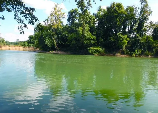 a view of a lake with a big yard
