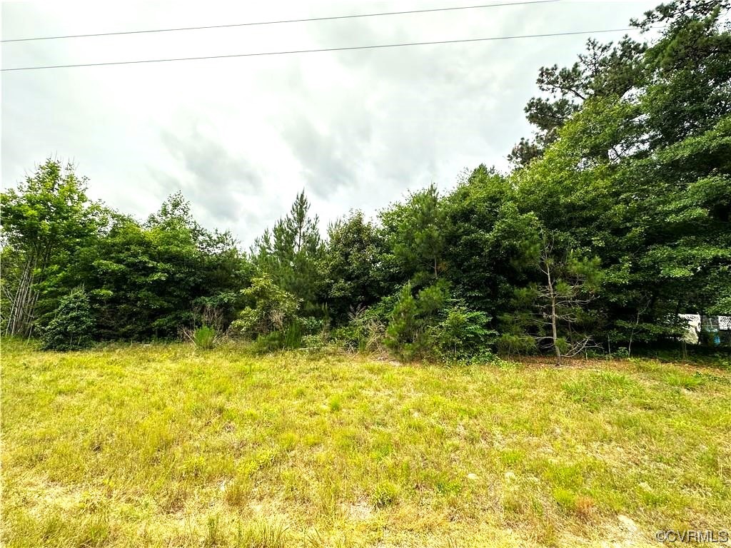 Lot 1 Double Branch Road Stony Creek, VA 23882 - Photo 1 of 2 a view of a swimming pool with an outdoor space