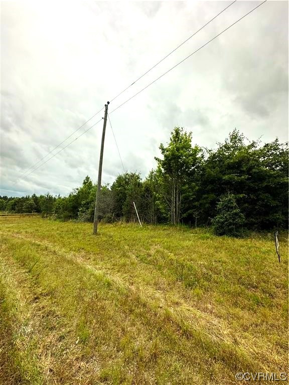Lot 1 Double Branch Road Stony Creek, VA 23882 - Photo 2 of 2