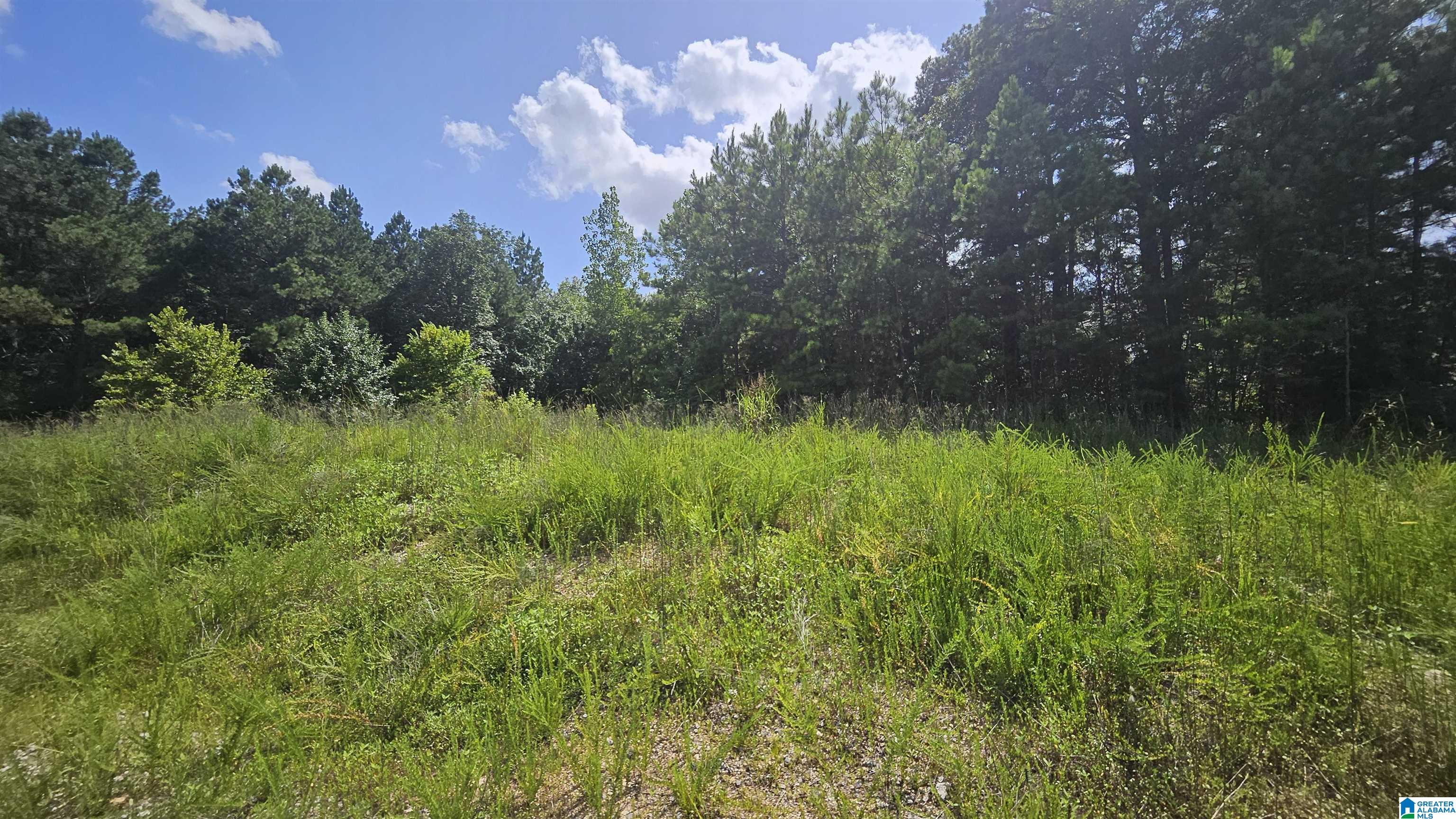 8183 Hopewell Road Bessemer, AL 35022 - Photo 4 of 7
