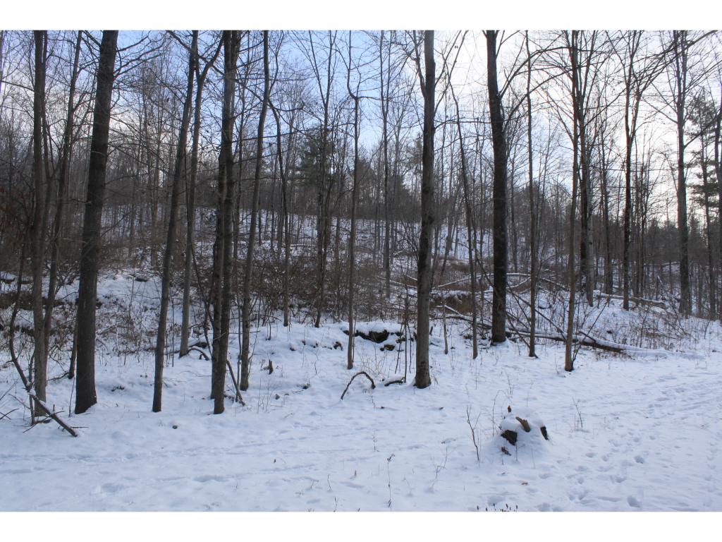 341 Turkey Farm Road, Unit 2 Benson, VT 05743 - Photo 3 of 7