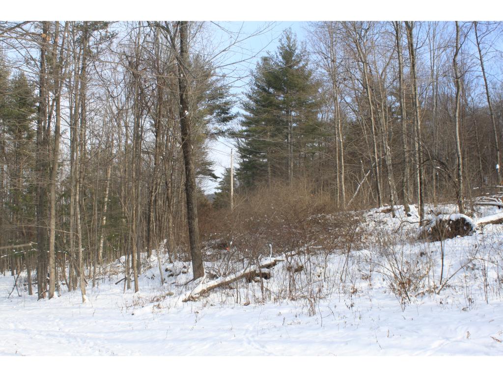 341 Turkey Farm Road, Unit 2 Benson, VT 05743 - Photo 5 of 7