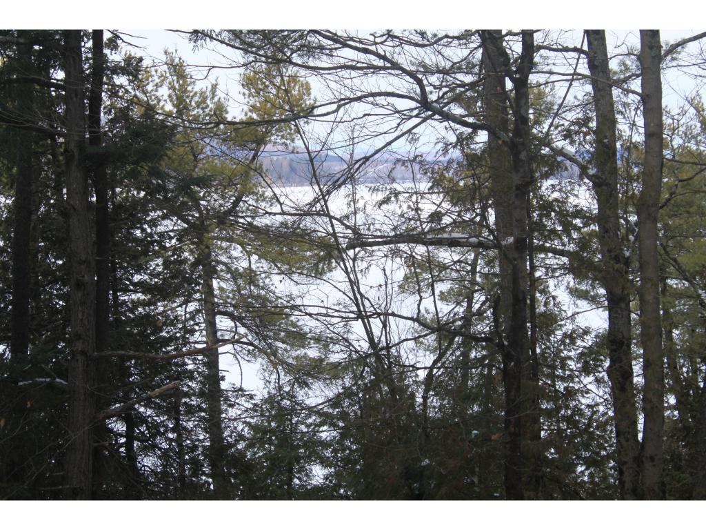 341 Turkey Farm Road, Unit 2 Benson, VT 05743 - Photo 6 of 7