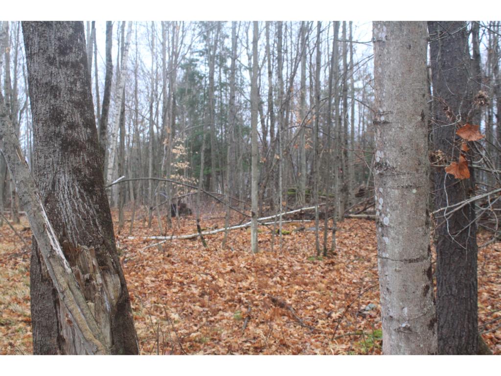 341 Turkey Farm Road, Unit 2 Benson, VT 05743 - Photo 7 of 7