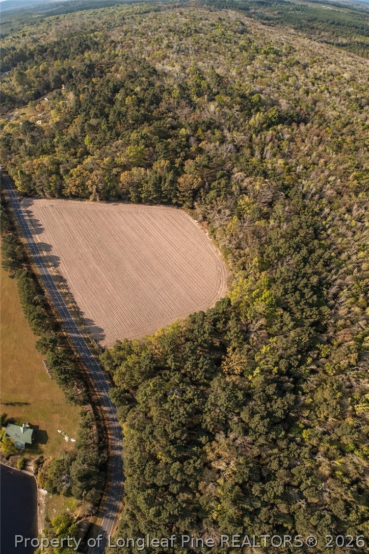 Ruth Vinson Road Autryville, NC 28318 - Photo 1 of 9