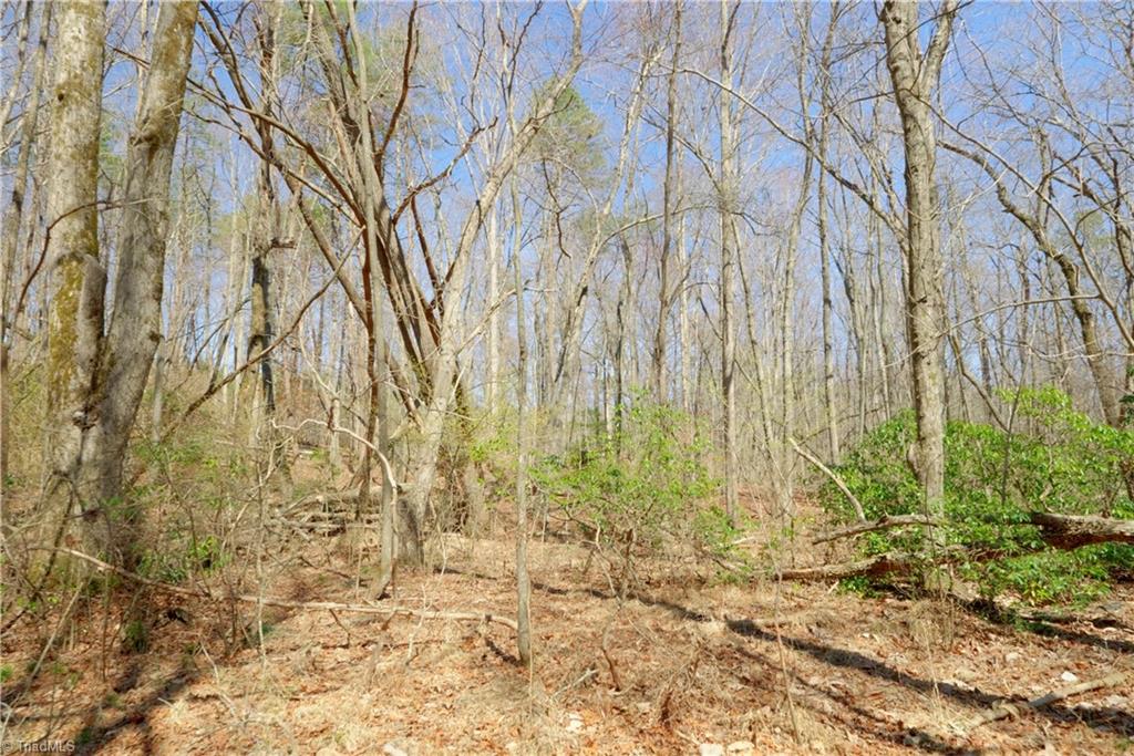 6 Old Mill Road Pinnacle, NC 27043 - Photo 10 of 29