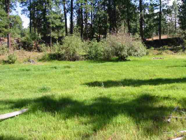 0 West Drumheller Road Cheney, WA 99004 - Photo 4 of 5