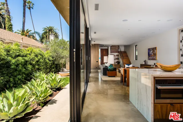 a view of a garden with a tree