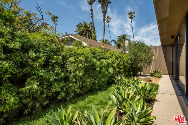 a view of a potted plants on a sidewalk