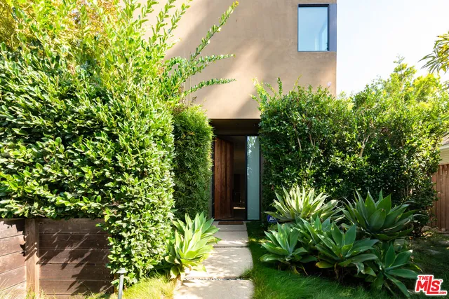 a close up of a plant in a pot