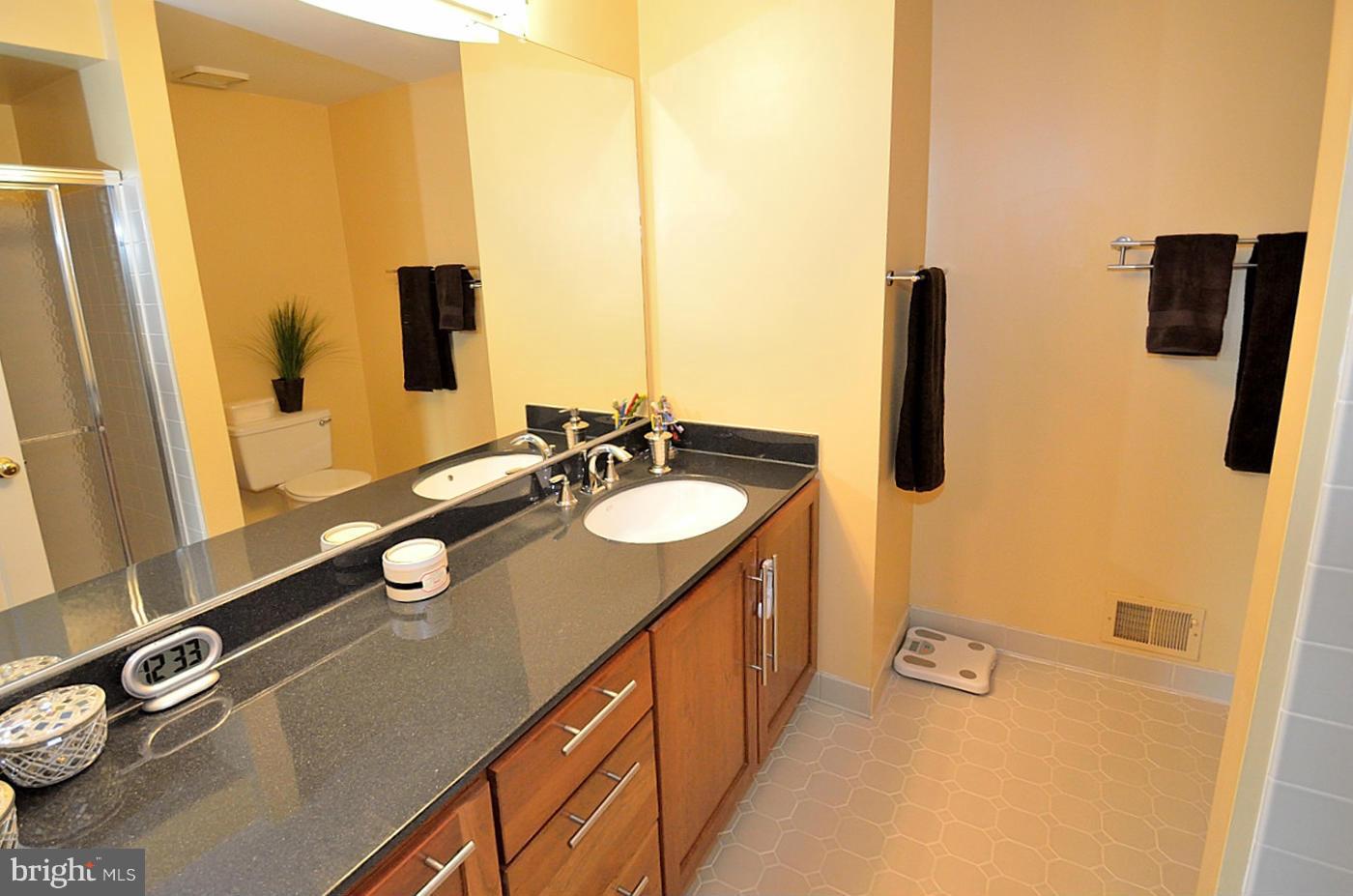 4621 4th Road North Arlington, VA 22203 - Photo 15 of 24 Bath (Master)