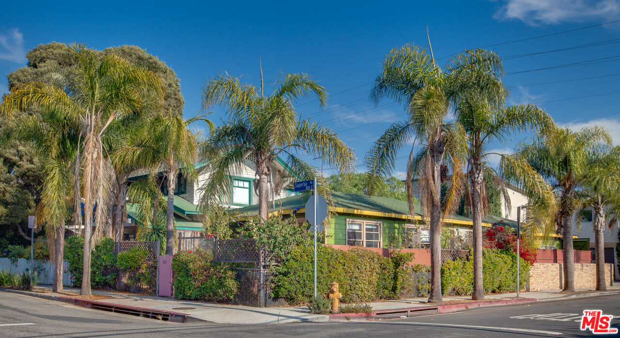 802 Superba Avenue Venice, CA 90291 - Photo 11 of 16 a view of a palm trees front of a building