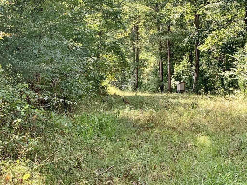 0 Garden City Road Roxie, MS 39661 - Photo 35 of 45 Photo 35