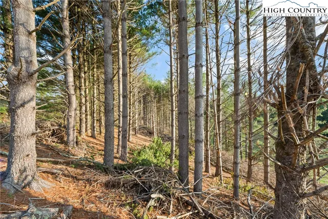 a view of a outdoor space