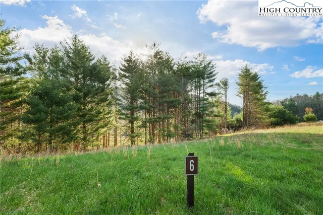 a view of yard with green space