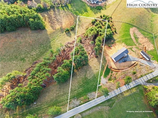 a view of a yard with plants