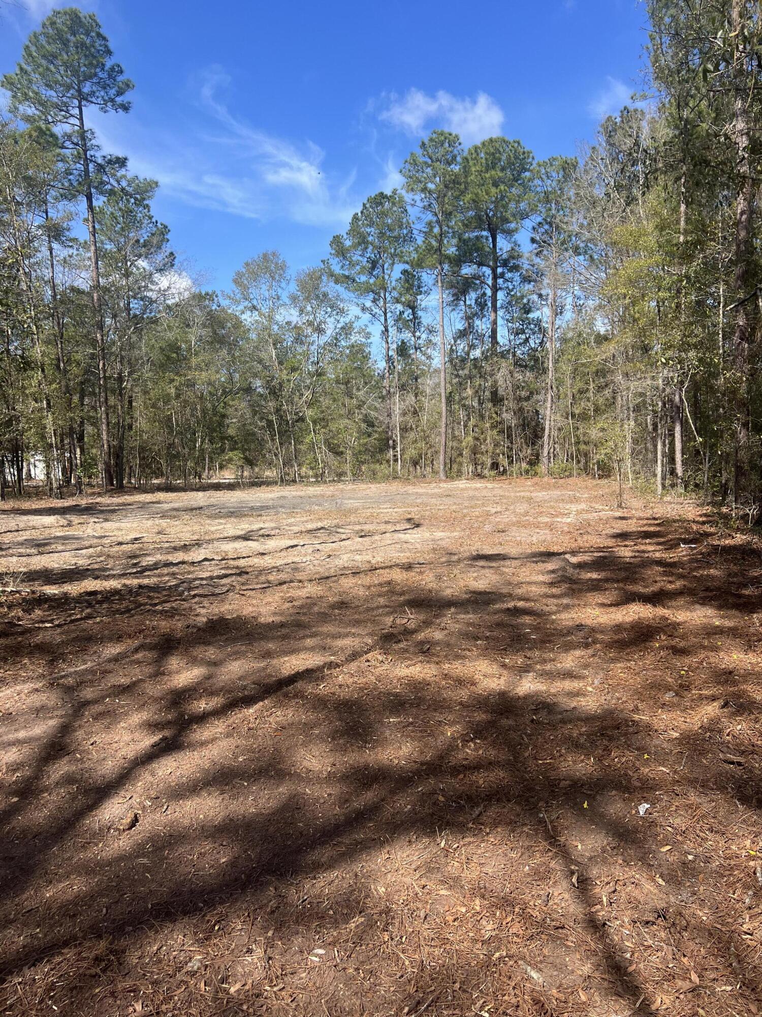 1969 Beach Road Walterboro, SC 29488 - Photo 1 of 4