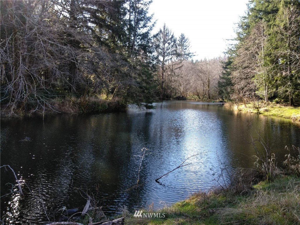 323 Lund Road Cosmopolis, WA 98537 - Photo 2 of 25 Gallery Image 2