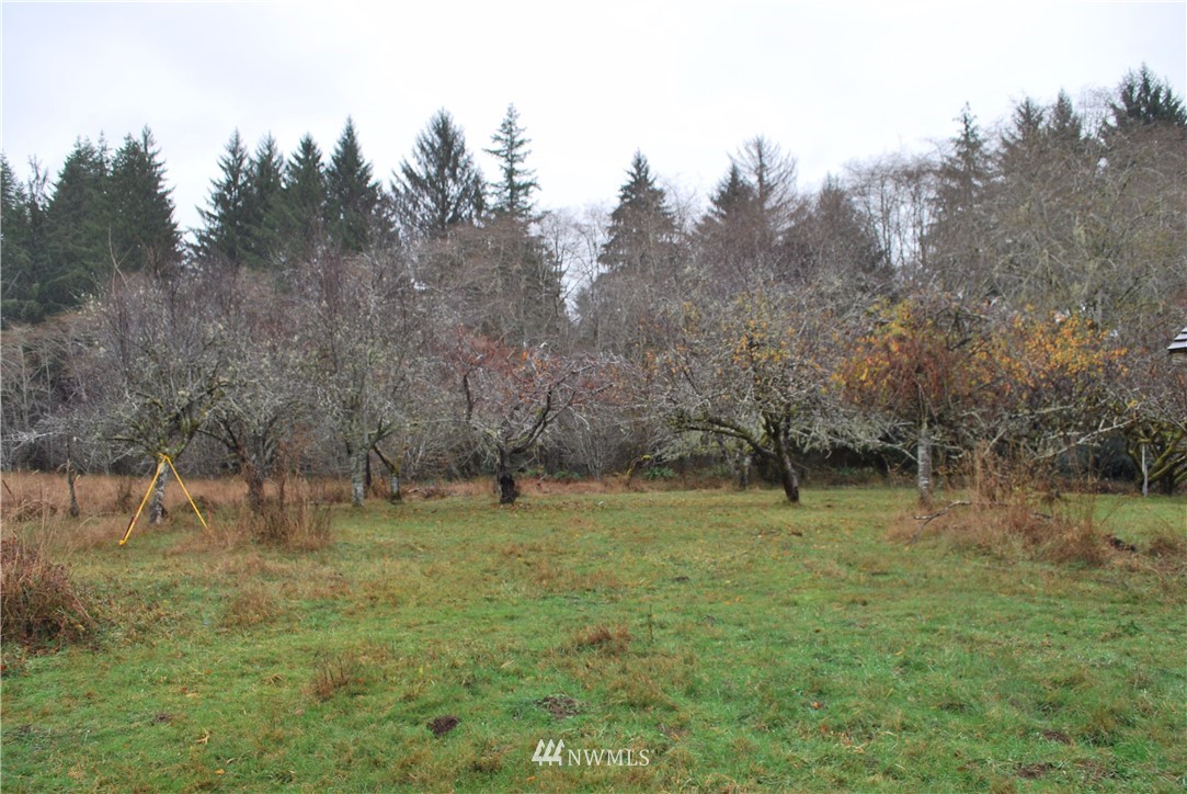 323 Lund Road Cosmopolis, WA 98537 - Photo 19 of 25 Gallery Image 19