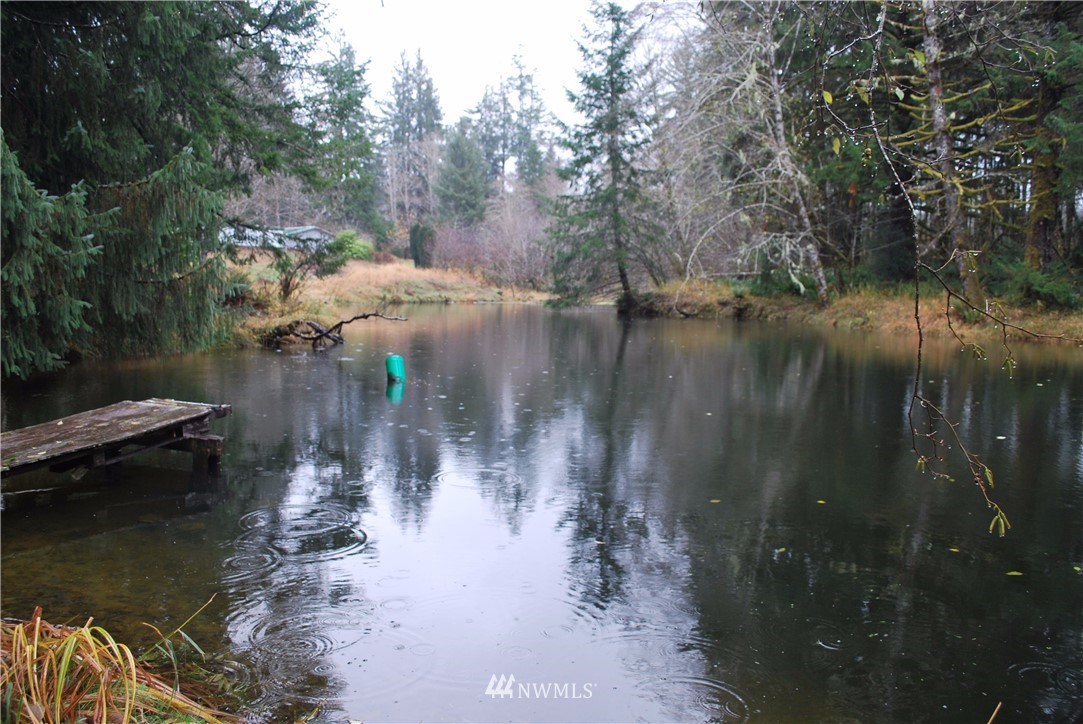323 Lund Road Cosmopolis, WA 98537 - Photo 20 of 25 Gallery Image 20