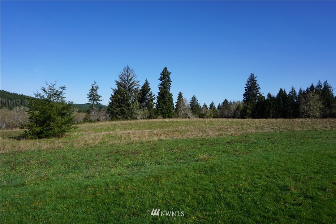 323 Lund Road Cosmopolis, WA 98537 - Photo 22 of 25 Gallery Image 22
