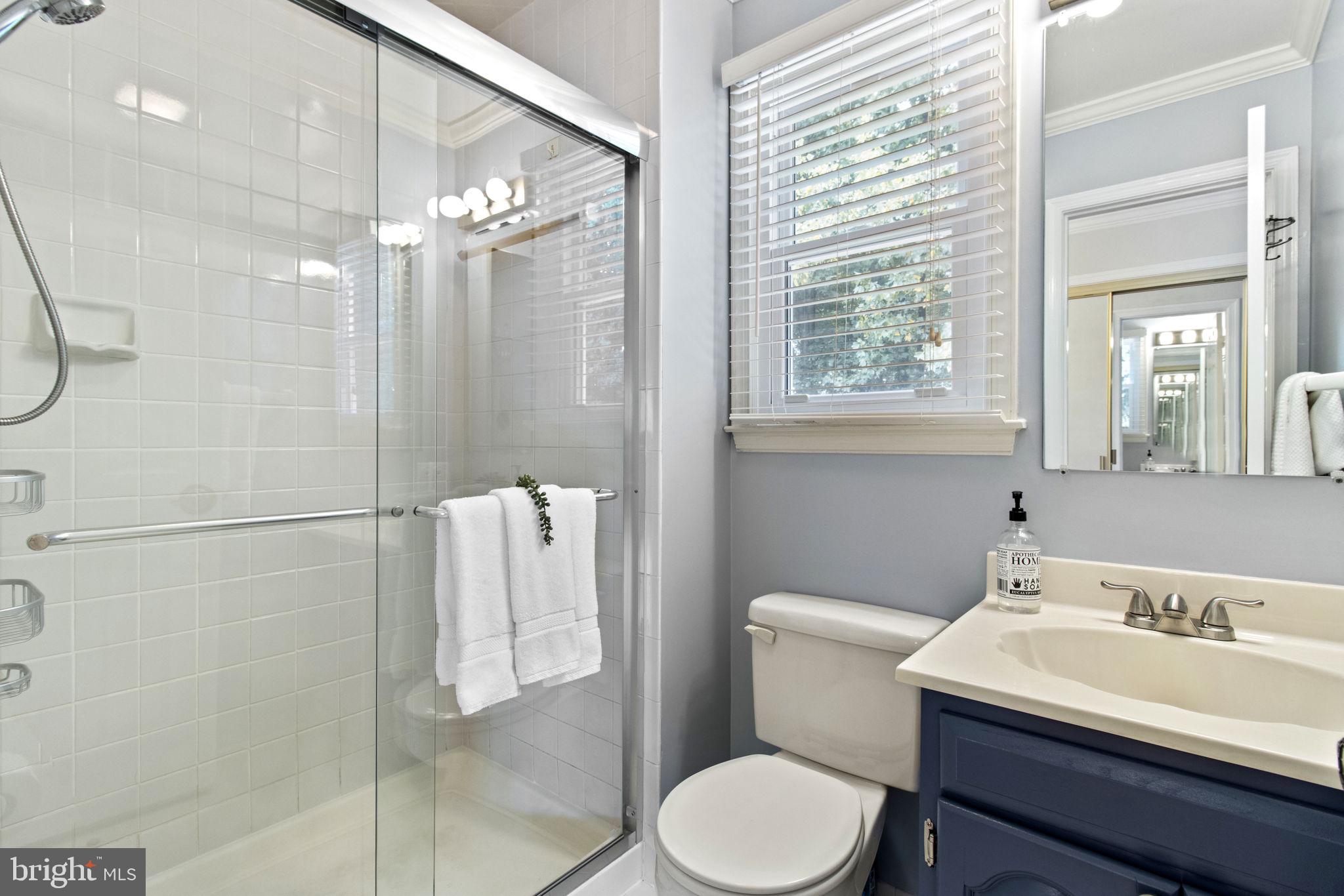 13712 Castle Cliff Way Silver Spring, MD 20904 - Photo 19 of 29 Primary Bathroom