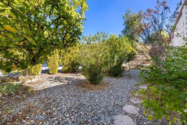 a view of a yard with plants and trees