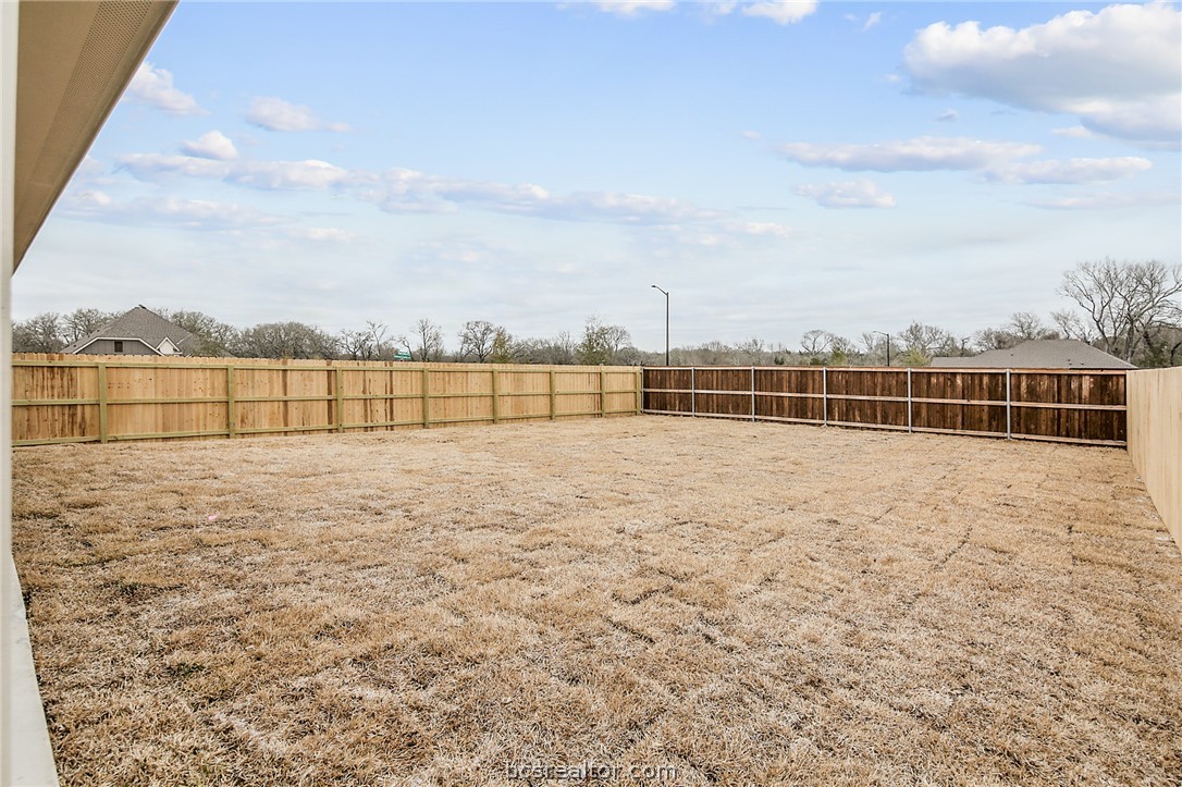 10603 Natural Pond Road College Station, TX 77845 - Photo 28 of 33 Backyard