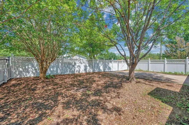 a view of a yard with potted plants and large tree