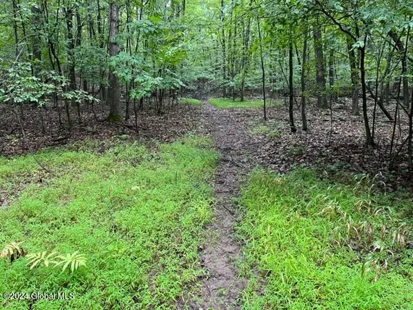 $54,900 | L2.2 Canniff Road, Freehold, NY 12431