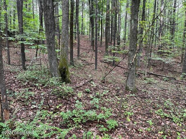 L2.2 Canniff Road Freehold, NY 12431 - Photo 11 of 18 IMG_3396