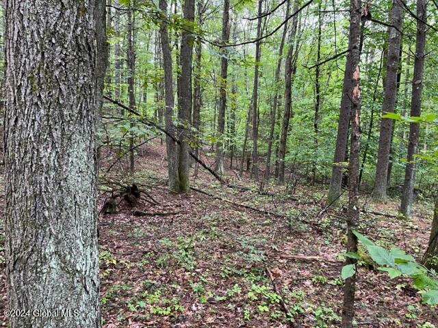 L2.2 Canniff Road Freehold, NY 12431 - Photo 12 of 18 IMG_3397