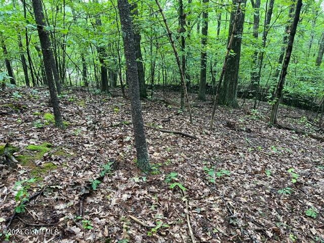 L2.2 Canniff Road Freehold, NY 12431 - Photo 13 of 18 IMG_3398