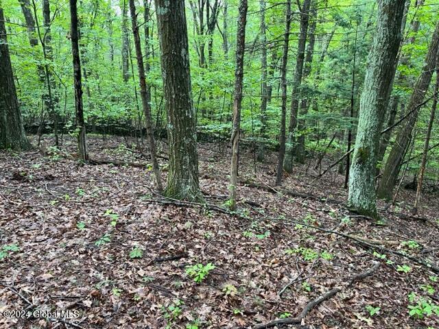 L2.2 Canniff Road Freehold, NY 12431 - Photo 14 of 18 IMG_3399