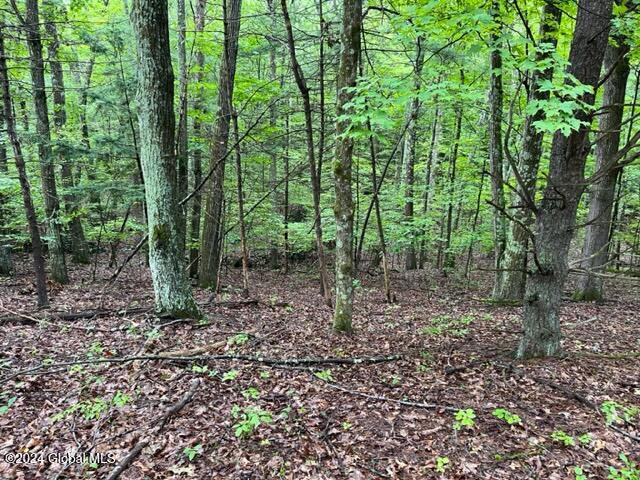 L2.2 Canniff Road Freehold, NY 12431 - Photo 15 of 18 IMG_3400