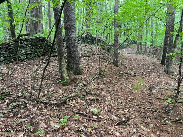 L2.2 Canniff Road Freehold, NY 12431 - Photo 16 of 18 IMG_3401