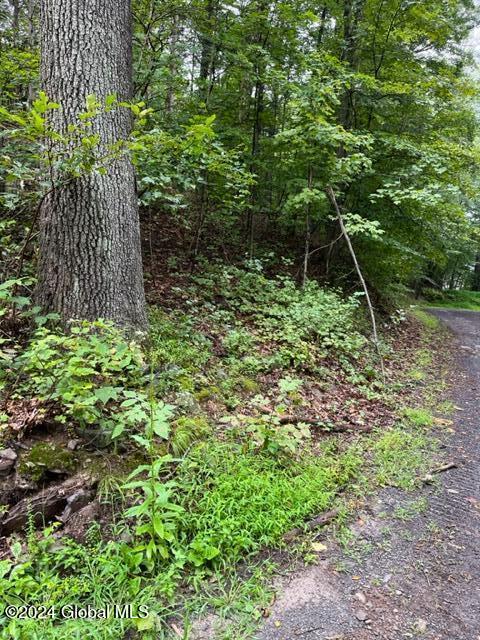 L2.2 Canniff Road Freehold, NY 12431 - Photo 17 of 18 IMG_3385