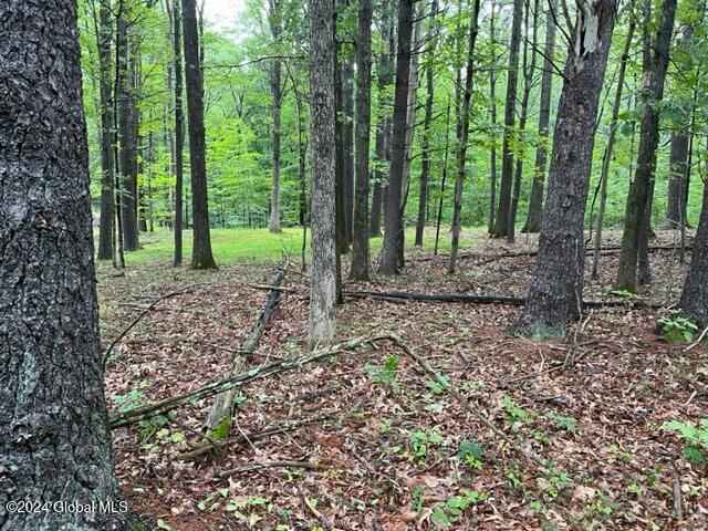 L2.2 Canniff Road Freehold, NY 12431 - Photo 3 of 18 IMG_3386