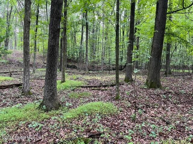 L2.2 Canniff Road Freehold, NY 12431 - Photo 6 of 18 IMG_3390